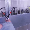 Abus Touch 57/45 hänglås med fingeravtryck, utomhus