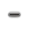 Apple USB-C till USB-A adapter