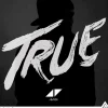 Avicii True vinylskiva