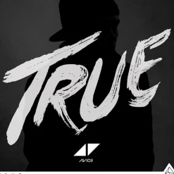 Avicii True vinylskiva