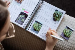 Canon Zoemini Zink fotopapper