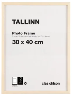 Fotoram Tallinn, furu