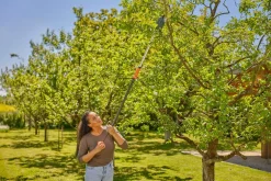 Gardena StarCut Pro S toppsax, stångsekatör 160 cm
