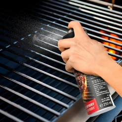 Landmann non stick-spray för grillgaller, 250 ml