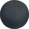 Leitz Ergo ergonomisk sittboll till kontor, 65 cm
