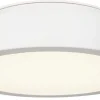 Liten dimbar plafond 22 cm, tak / vägg, Northlight Dot