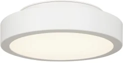 Liten dimbar plafond 22 cm, tak / vägg, Northlight Dot