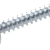 Montageskruv 4,2x19 mm