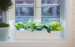 Nelson Garden växtbelysning LED-ramp inomhus, 85 cm