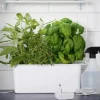 Nelson Garden växtbelysning LED-ramp inomhus, 39 cm