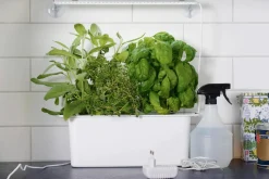 Nelson Garden växtbelysning LED-ramp inomhus, 39 cm