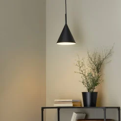 Northlight Cone lampa/växtbelysning fönster, svart