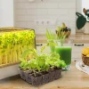 Odlingstråg för microgreens, litet drivhus LED, 8 W