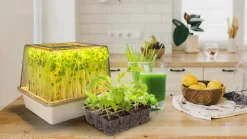 Odlingstråg för microgreens, litet drivhus LED, 8 W