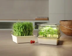 Odlingstråg för microgreens, litet drivhus LED, 8 W