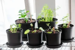 Orthex Botanica kruka utomhus, plast, svart