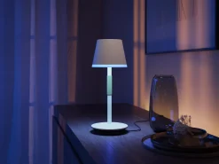 Philips Hue WCA Go bärbar bordslampa metall, 35 cm