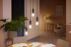 Philips Hue WA E27 LED normallampa 7 W Bluetooth