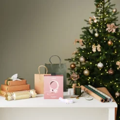 Presentpåse med handtag, 6-pack