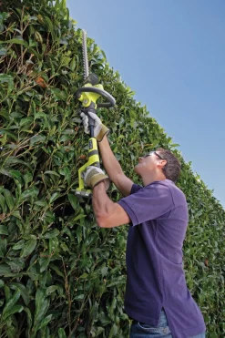 Ryobi OHT1850X 18 V häcksax
