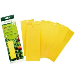 SafeTrap hängande limfälla mot insekter, 6-pack
