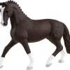 Schleich Horse Club Hannoveranare sto svart, från 5 år