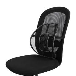 Swedish Posture Back Rest, svankstöd