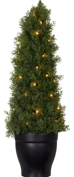 Tuja med LED-belysning
