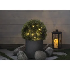 Tuja-boll 33 cm Northlight