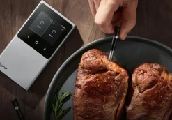 Typhur Sync Dual trådlös stektermometer 2 sonder WiFi