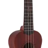 Ukulele Joy