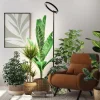 Växtbelysning golvlampa med timer, höjd 164,5 cm