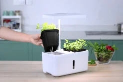 Växtbelysning LED med självvattnande krukor och timer