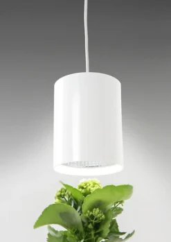 Växtbelysning LED med vitt, neutralt sken Fiora Airam