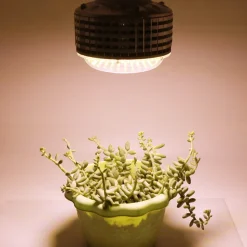 Växtlampa LED E27 fullspektrum, odlingslampa inomhus, 60 W