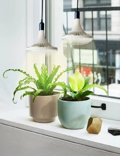 Växtlampa LED E27 fullspektrum, odlingslampa inomhus, 32 W