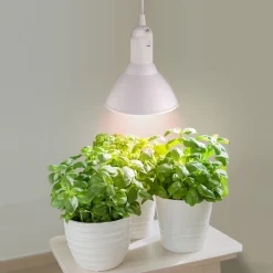 Växtlampa LED E27 PAR38, odlingslampa inomhus, 15W