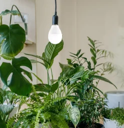 Växtlampa LED E14, odlingslampa inomhus, 8 W
